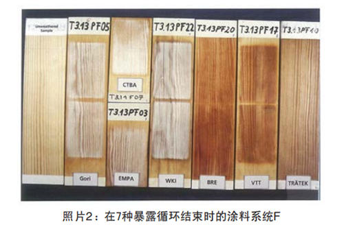 照片2：在7種暴露循環(huán)結束時的涂料系統(tǒng)F