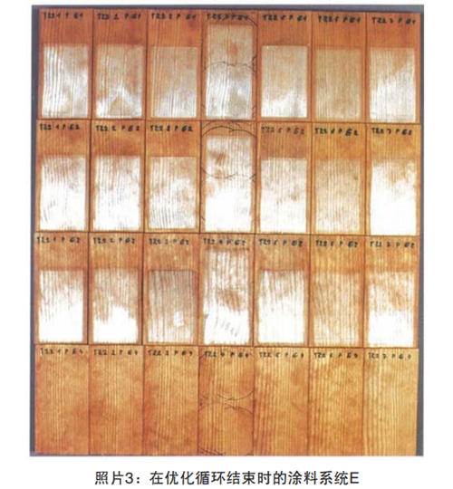 照片3：在優(yōu)化循環(huán)結束時的涂料系統(tǒng)E