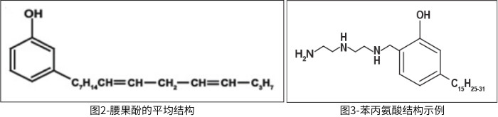 圖2-腰果酚的平均結(jié)構(gòu)；圖3-苯丙氨酸結(jié)構(gòu)示例