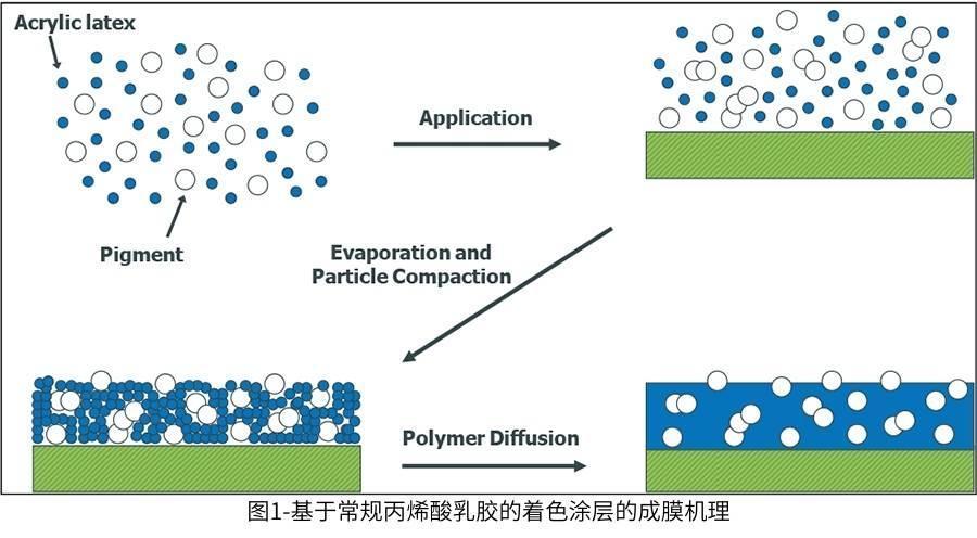 圖1-基于常規(guī)丙烯酸乳膠的著色涂層的成膜機理